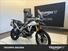 Triumph Tiger 900 Rally Pro (2020 - 23) (6)