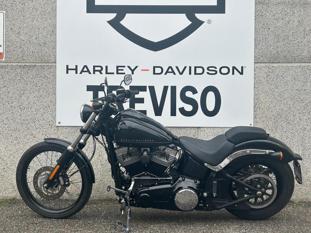 Harley-Davidson 1584 Blackline (2011 - 13) - FXS (2)