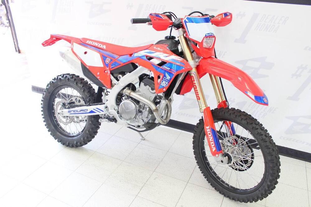 Honda CRF 250 RX Enduro (2024) (3)