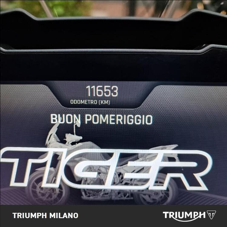 Triumph Tiger 900 GT Pro (2020 - 23) (5)