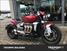 Triumph Rocket 3 R (2019 - 20) (12)