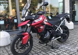 Triumph Tiger 900 GT Pro (2020 - 23) usata