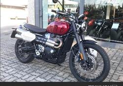 Triumph Scrambler 1200 X (2024) usata