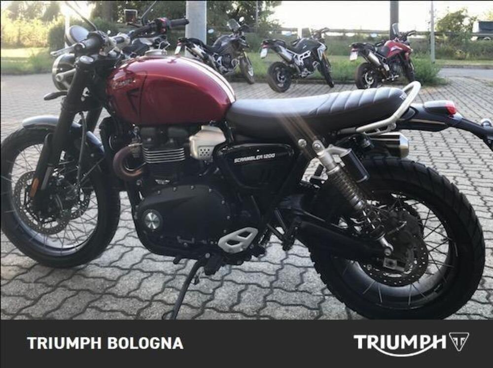 Triumph Scrambler 1200 X (2024) (3)