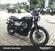 Triumph Street Scrambler 900 (2017 - 18) (10)