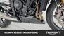 Triumph Street Triple 765 Moto2 Edition (2023 - 24) (19)