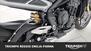 Triumph Street Triple 765 Moto2 Edition (2023 - 24) (17)