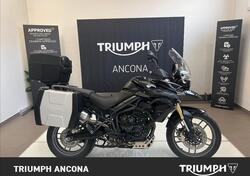 Triumph Tiger 800 ABS (2010 - 14) usata