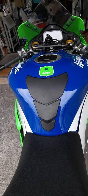 Kawasaki Ninja 1000 ZX-10R 40th Anniversary Edition (2024) (2)