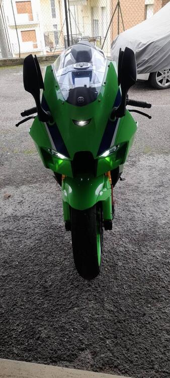 Kawasaki Ninja 1000 ZX-10R 40th Anniversary Edition (2024) (3)