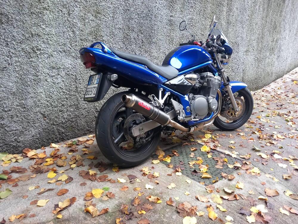 Suzuki GSF 600 Bandit (2000 - 05) (4)