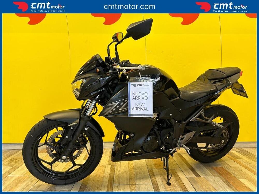 Kawasaki Z 300 ABS (2015 - 16) (2)