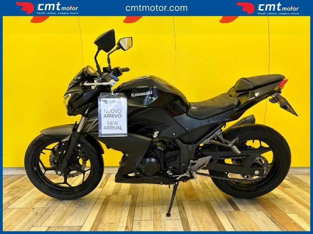 Kawasaki Z 300 ABS (2015 - 16) (3)