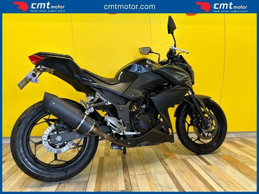 Kawasaki Z 300 ABS (2015 - 16) (4)