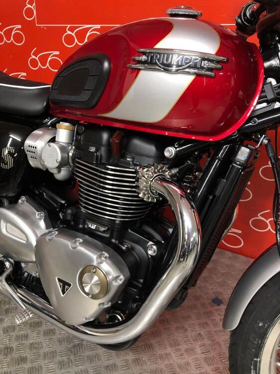 Triumph Bonneville T120 Elvis (2024) (5)