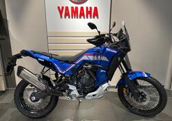 Yamaha Ténéré 700 World Rally (2023 - 24) usata