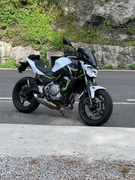 Kawasaki Z 650 (2017 - 19)