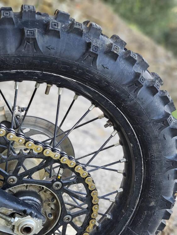 Betamotor RR 250 2T Enduro (2020) (4)