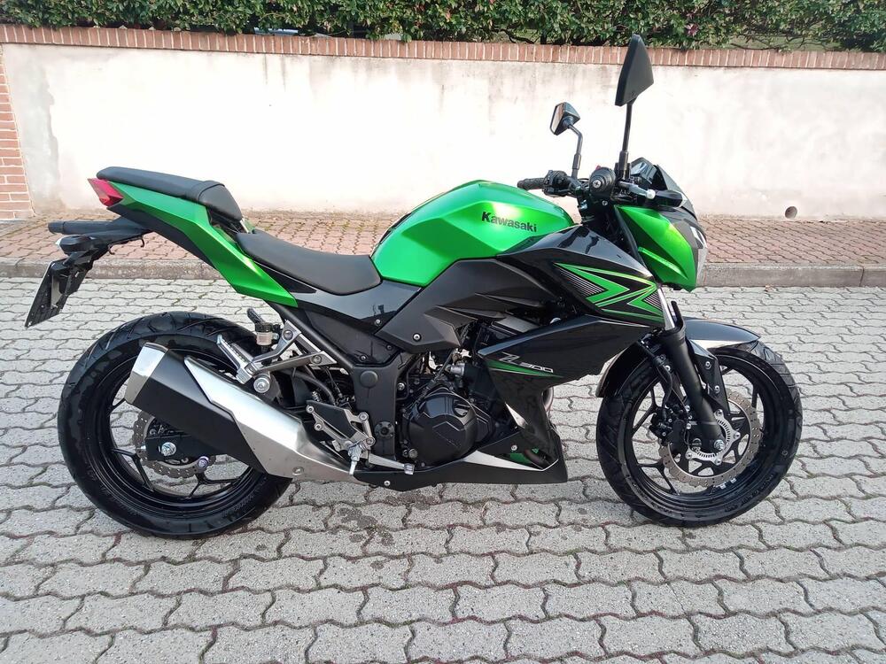 Kawasaki Z 300 ABS (2015 - 16)