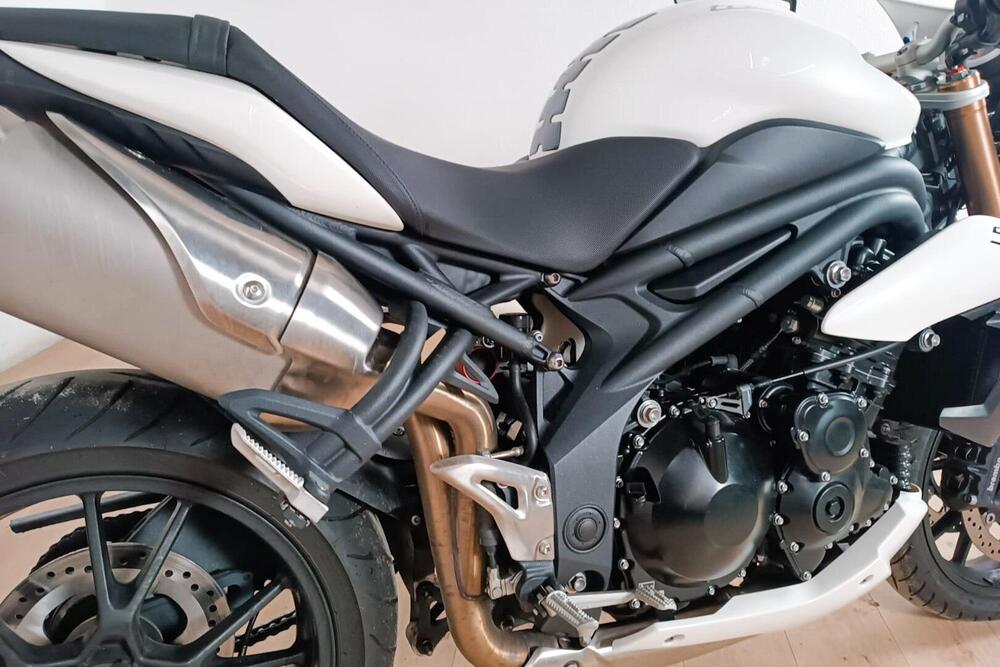 Triumph Speed Triple 1050 (2005 - 11) (4)