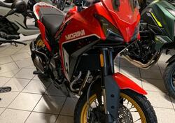 Moto Morini X-Cape 650 Gold Wheels Edition (2022 - 24) nuova