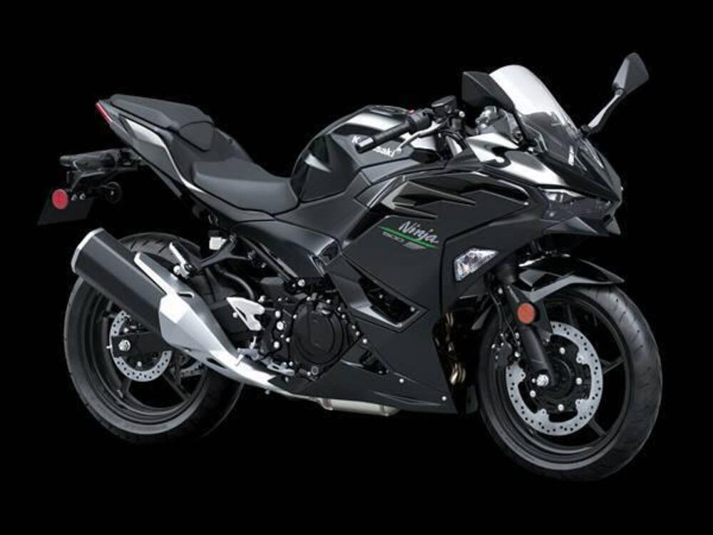 Kawasaki Ninja 500 (2024 - 25)