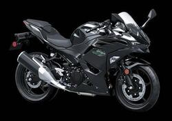 Kawasaki Ninja 500 (2024 - 25) nuova