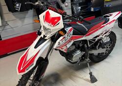 Betamotor RR 125 4T Enduro LC (2018 - 20) usata