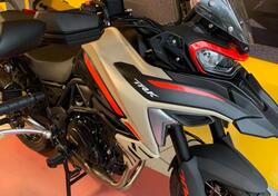 Benelli TRK 702X Dune Sea (2024) nuova