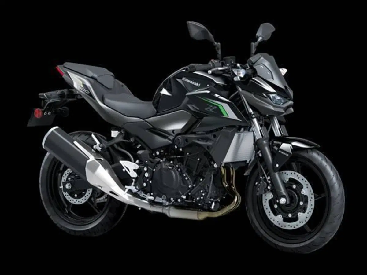 Kawasaki Z 500 (2024 - 26)