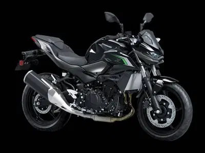 Kawasaki Z 500 (2024 - 26) usata