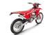 GASGAS EC 250 F (2024) (8)