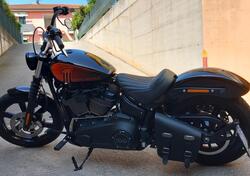 Harley-Davidson Street Bob 114 (2021 - 24) usata