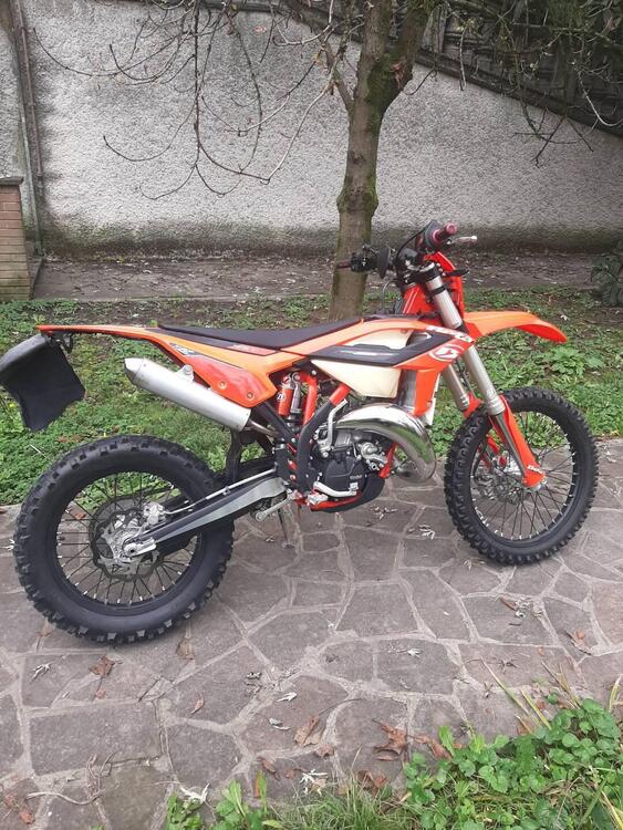 Betamotor RR 125 2T Enduro (2023) (4)