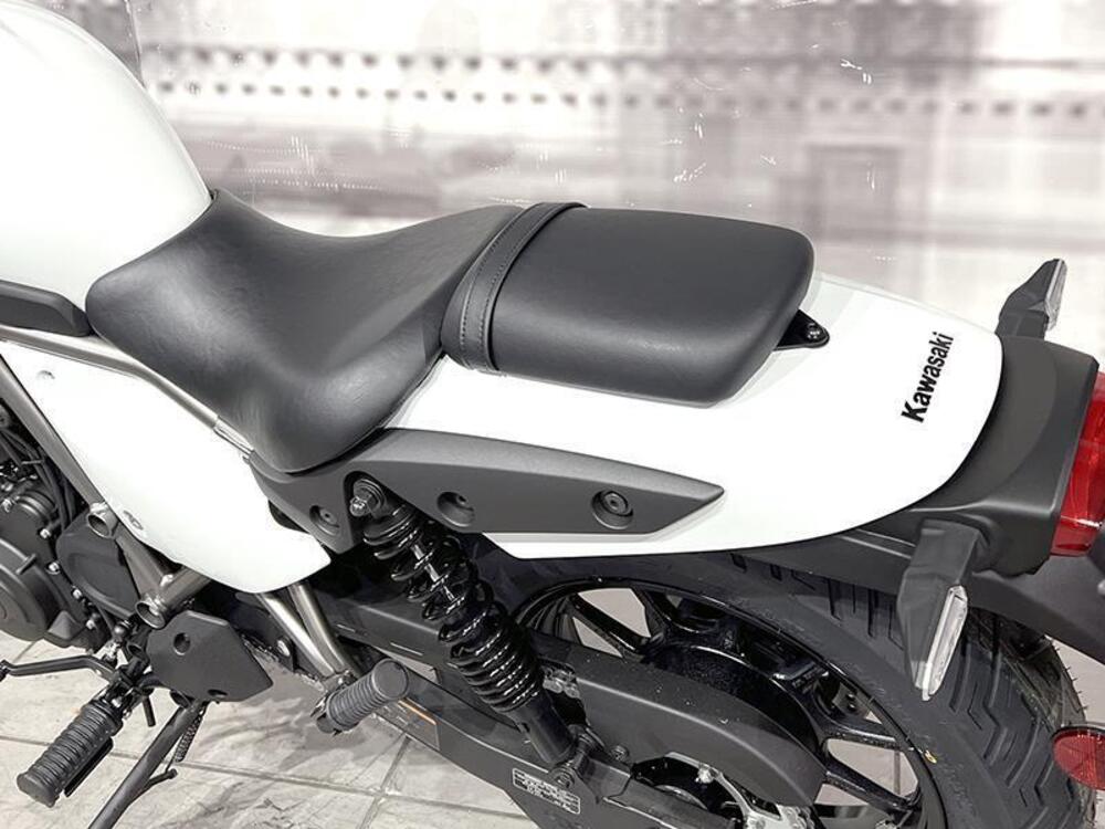 Kawasaki Eliminator 500 (2024 - 25) (4)