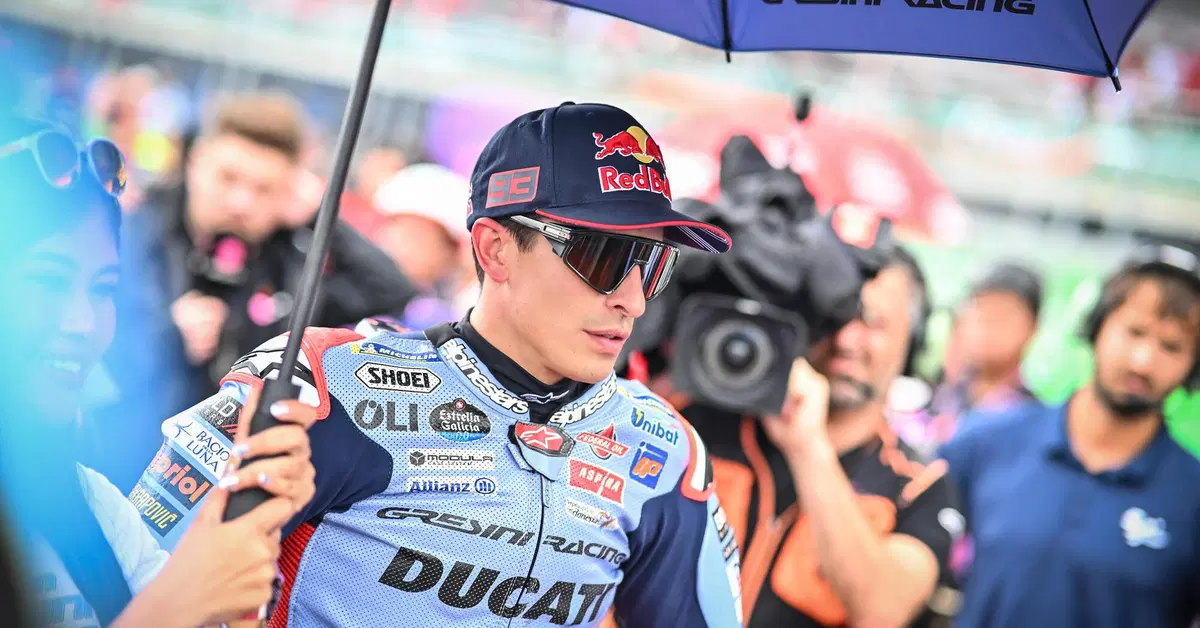 MotoGP 2024. GP della Thailandia. Marc Marquez: "A Pecco Bagnaia tocca rischiare se vuole recuperare punti"