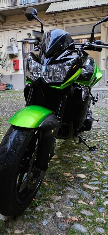 Kawasaki Z 750 R (2011 - 14) (4)