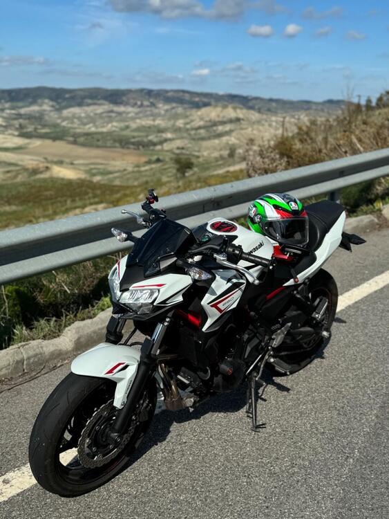 Kawasaki Z 650 Sport (2021 - 24) (2)