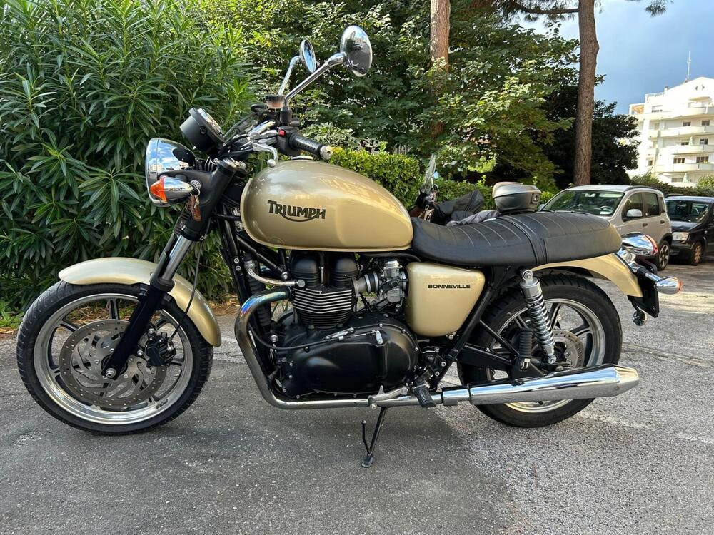 Triumph Bonneville SE (2009 - 13) (2)