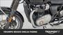 Triumph Bonneville T100 (2021 - 24) (24)