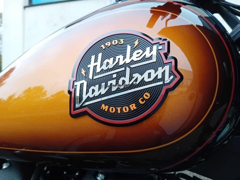 Harley-Davidson Low Rider ST (2022 - 24) (5)