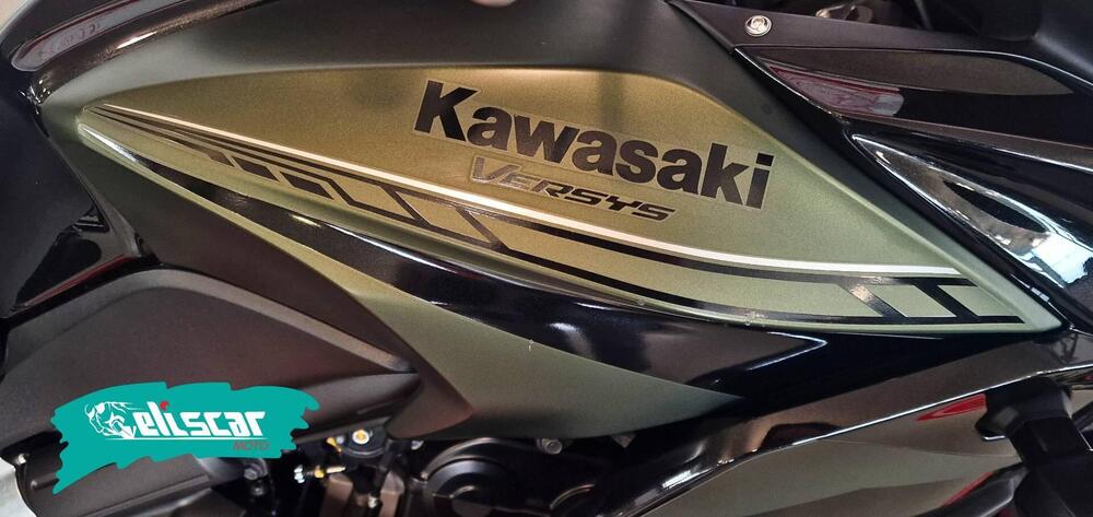 Kawasaki Versys 650 (2017 - 20) (4)