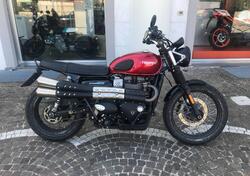 Triumph Street Scrambler 900 (2019 - 20) usata