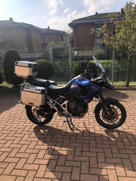 Triumph Tiger 1200 GT Pro (2022 - 23) (3)