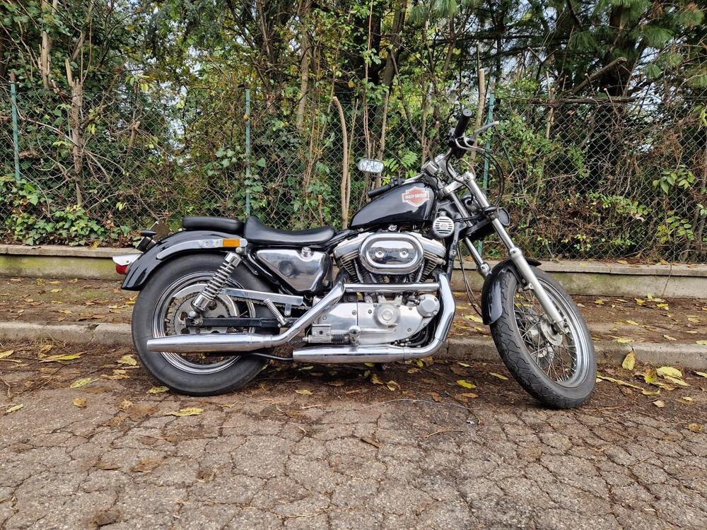 Harley-Davidson 883 Standard (1987 - 93) - XLH (4)