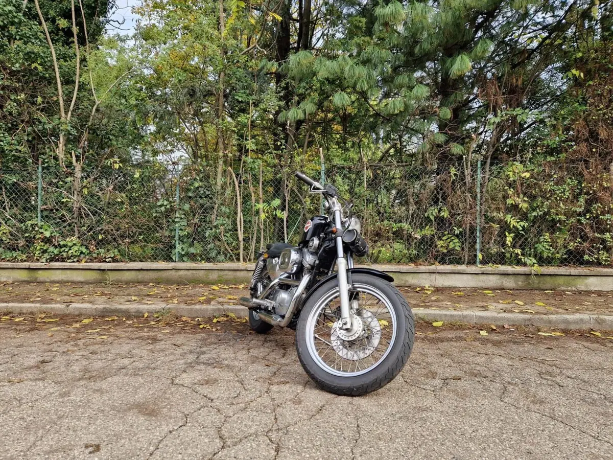 Harley-Davidson 883 Standard (1987 - 93) - XLH (7)