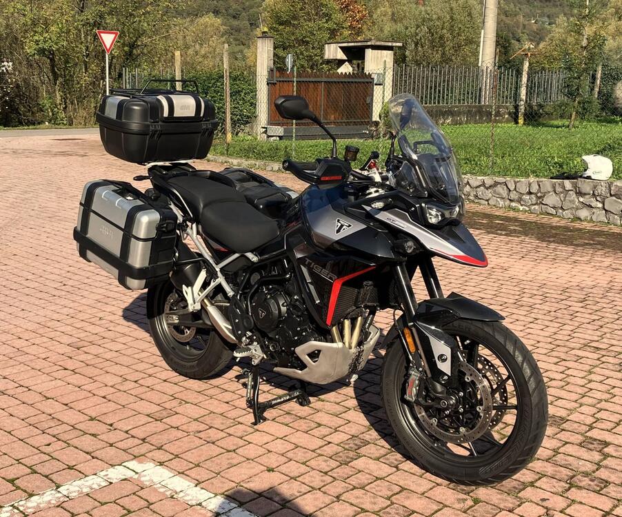 Triumph Tiger 900 GT Pro (2024)