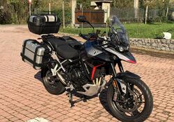 Triumph Tiger 900 GT Pro (2024) usata