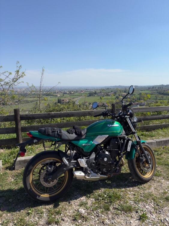 Kawasaki Z 650 RS (2022 - 24)