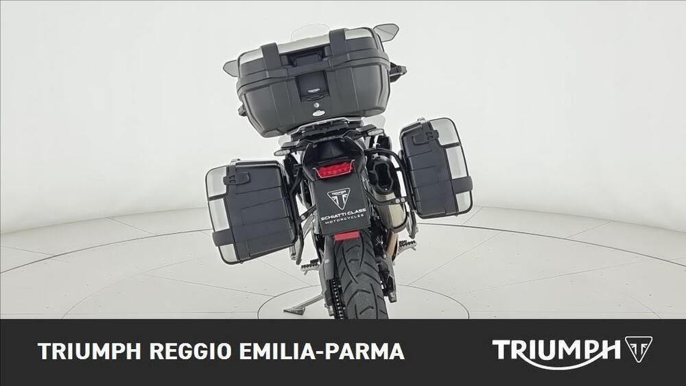 Triumph Tiger 900 GT (2024) (2)